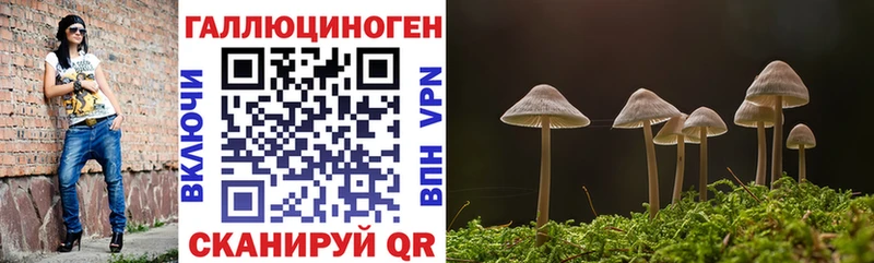Псилоцибиновые грибы прущие грибы Комсомольск
